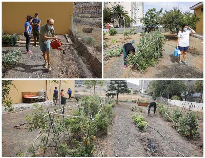 Los usuarios de este centro de día se encargan del cuidado y mantenimiento del huerto/Canarias/COBER.